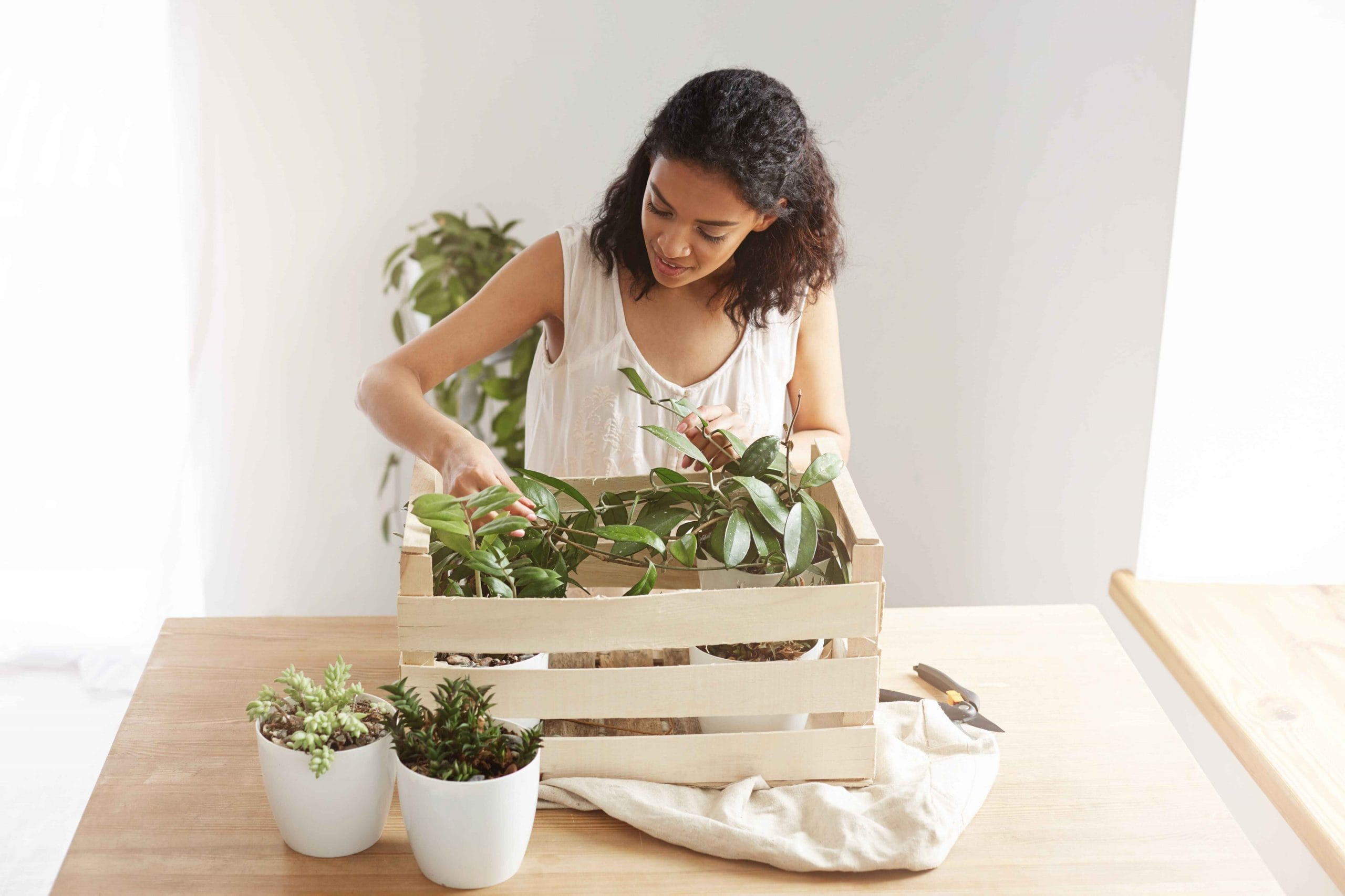 Beautiful woman smiling and taking care of small plants